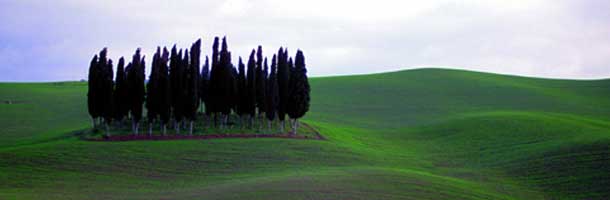 Toscane